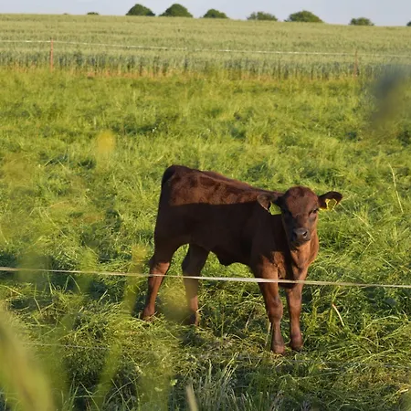 Am Bauernhof Im Ostseeland Vakantieboerderij Boldenshagen
