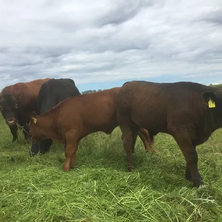 Am Bauernhof Im Ostseeland Bauernhof