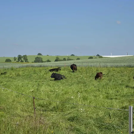 Am Bauernhof Im Ostseeland