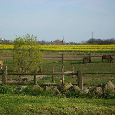 Am Bauernhof Im Ostseeland Boldenshagen