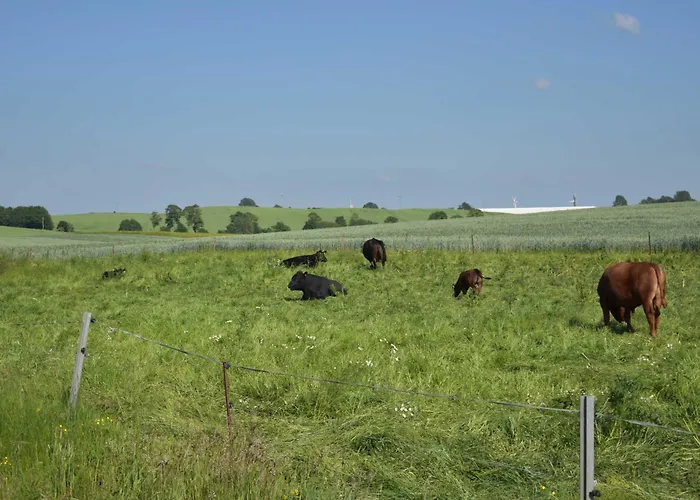 Am Bauernhof Im Ostseeland