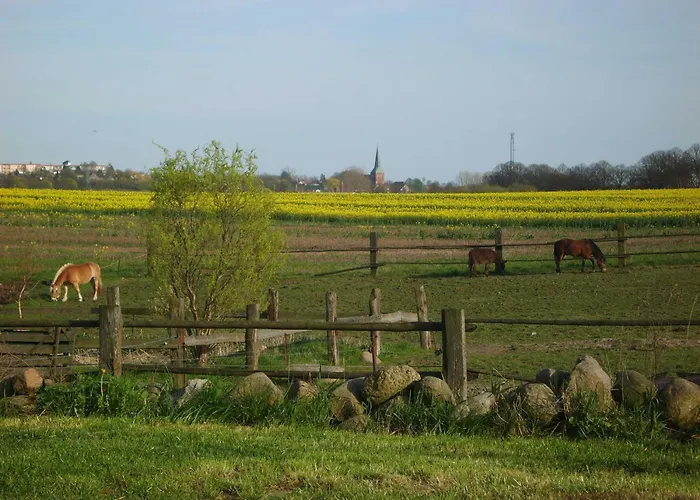 Am Bauernhof Im Ostseeland Boldenshagen